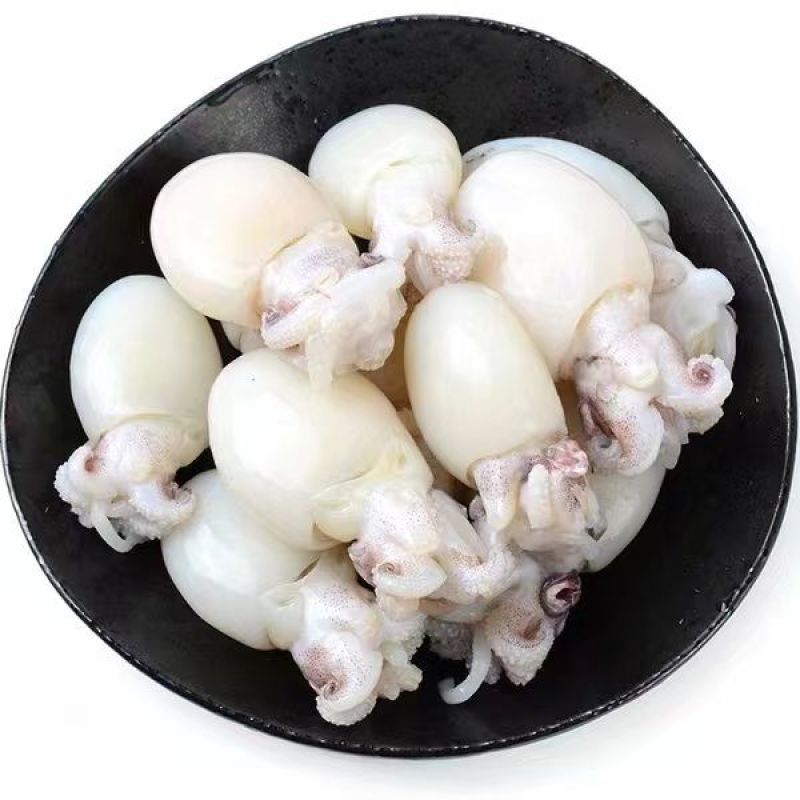墨鱼仔，单冻鲜活墨鱼仔去皮去内脏，饭店捞汁食材