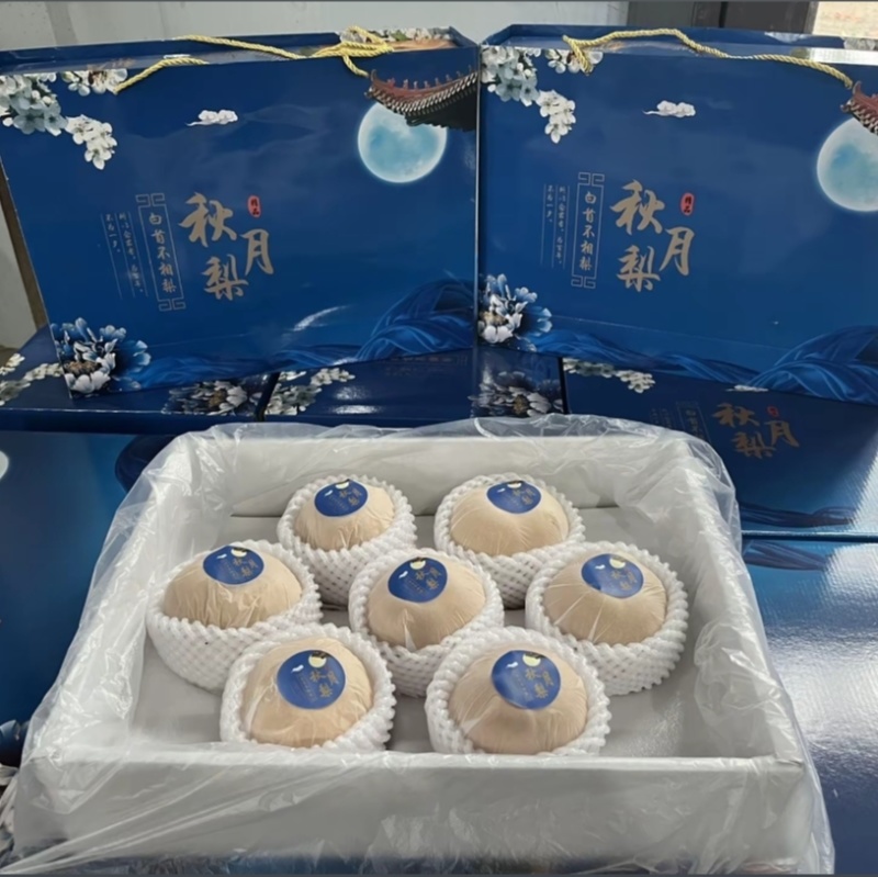 安徽秋月梨.基地直供.保质保量实力代收发