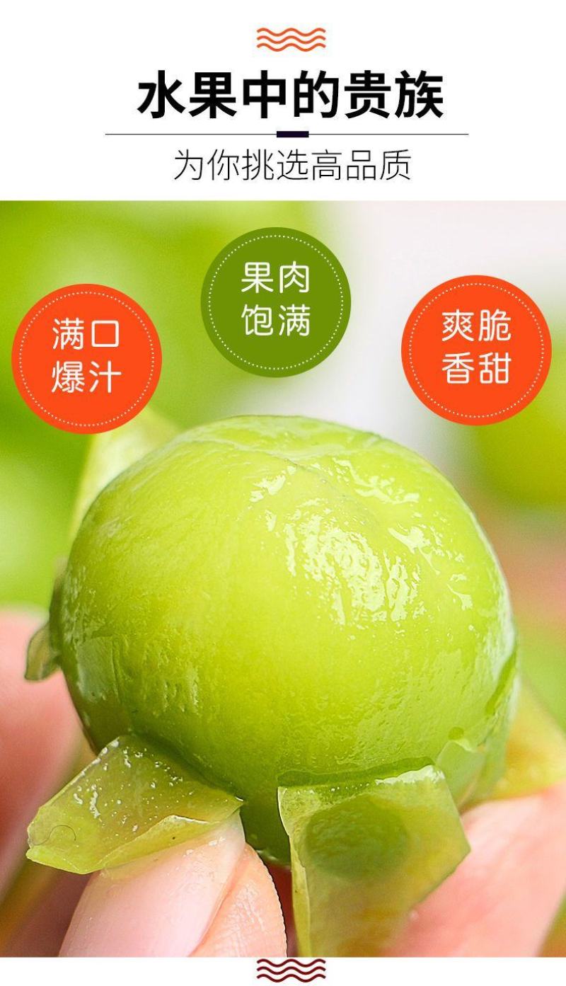 阳光玫瑰整串晴王葡萄青提无籽提子香印应季新鲜水果