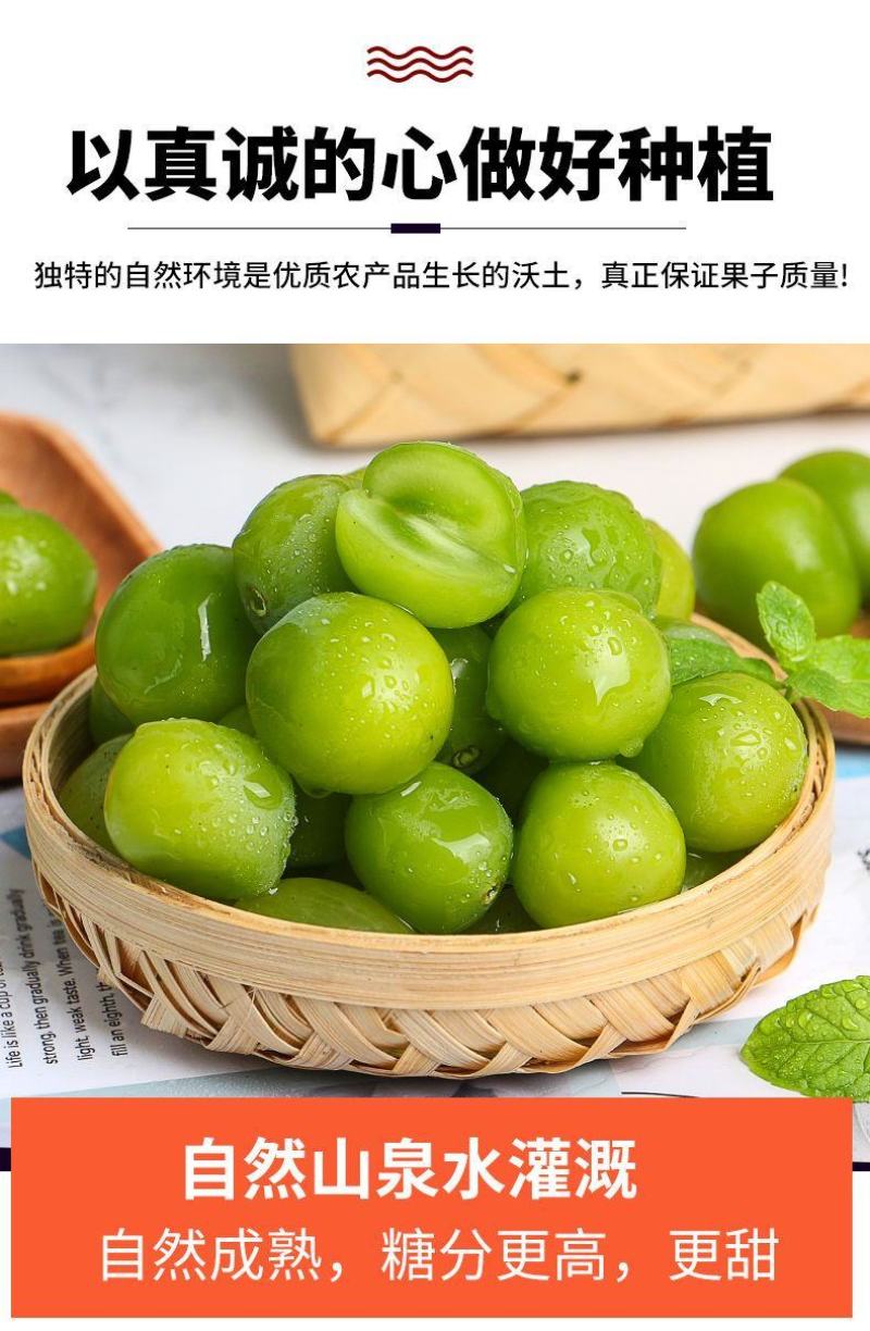 阳光玫瑰整串晴王葡萄青提无籽提子香印应季新鲜水果