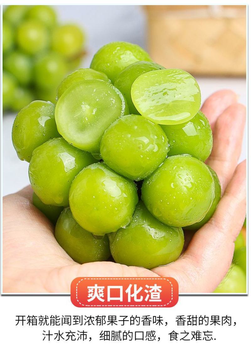 阳光玫瑰整串晴王葡萄青提无籽提子香印应季新鲜水果