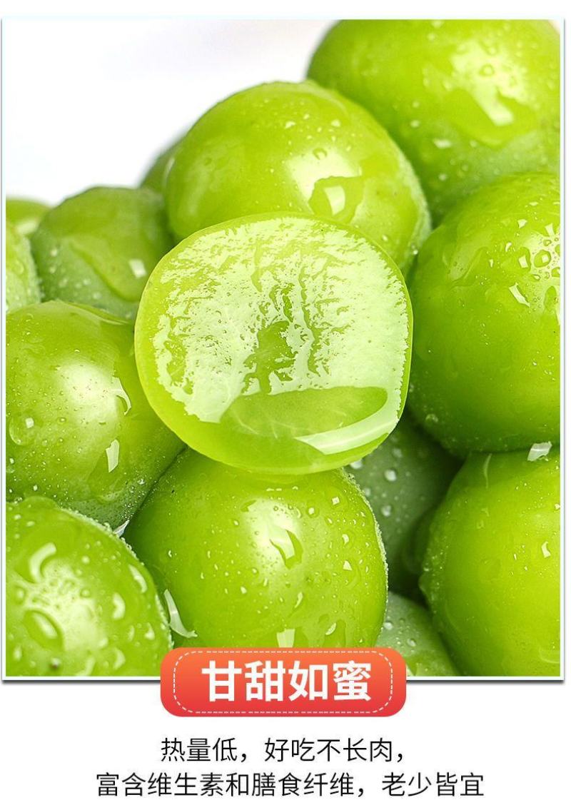 阳光玫瑰整串晴王葡萄青提无籽提子香印应季新鲜水果