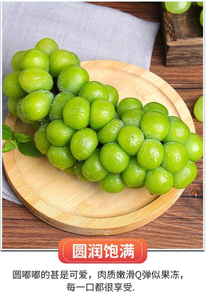 阳光玫瑰整串晴王葡萄青提无籽提子香印应季新鲜水果