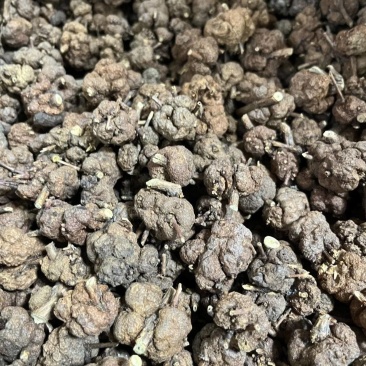 猫爪草中药猫爪草野生新鲜正品中药材猫抓草水洗猫爪草精选包