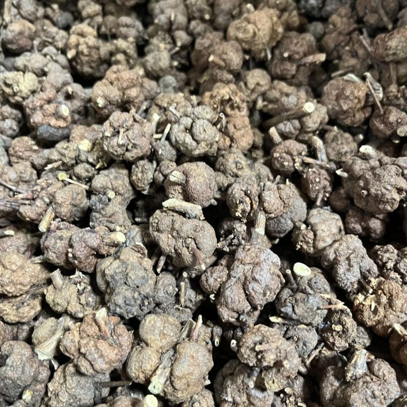 猫爪草中药猫爪草野生新鲜正品中药材猫抓草水洗猫爪草精选包
