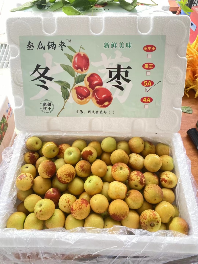 一件代发，陆地冬枣大棚冬枣多多社区团购落地配，原产地直发