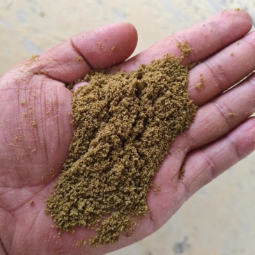 过油孜然碎辅料孜然粉辅料孜然