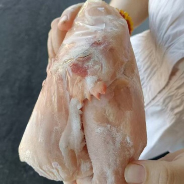 一级窝腿三黄鸡10只