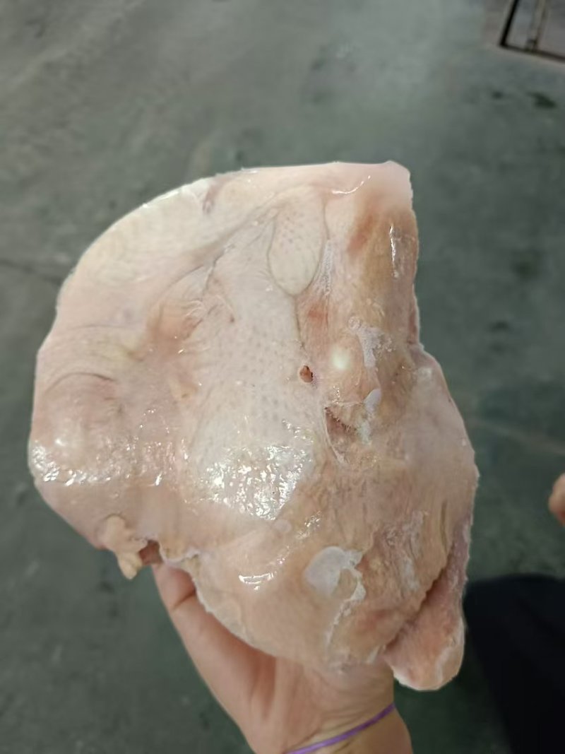一级窝腿三黄鸡10只