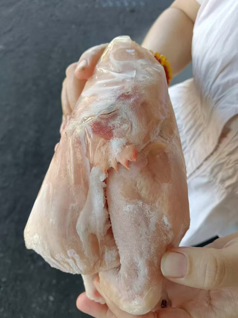 一级窝腿三黄鸡10只