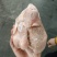 一级窝腿三黄鸡10只