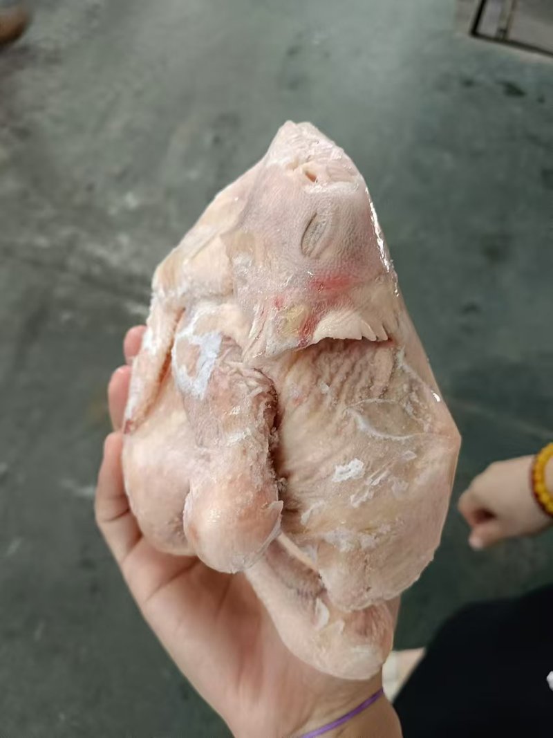 一级窝腿三黄鸡10只