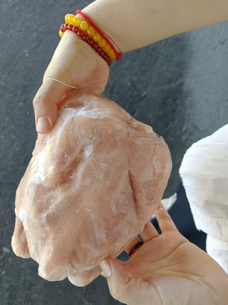 一级窝腿三黄鸡10只