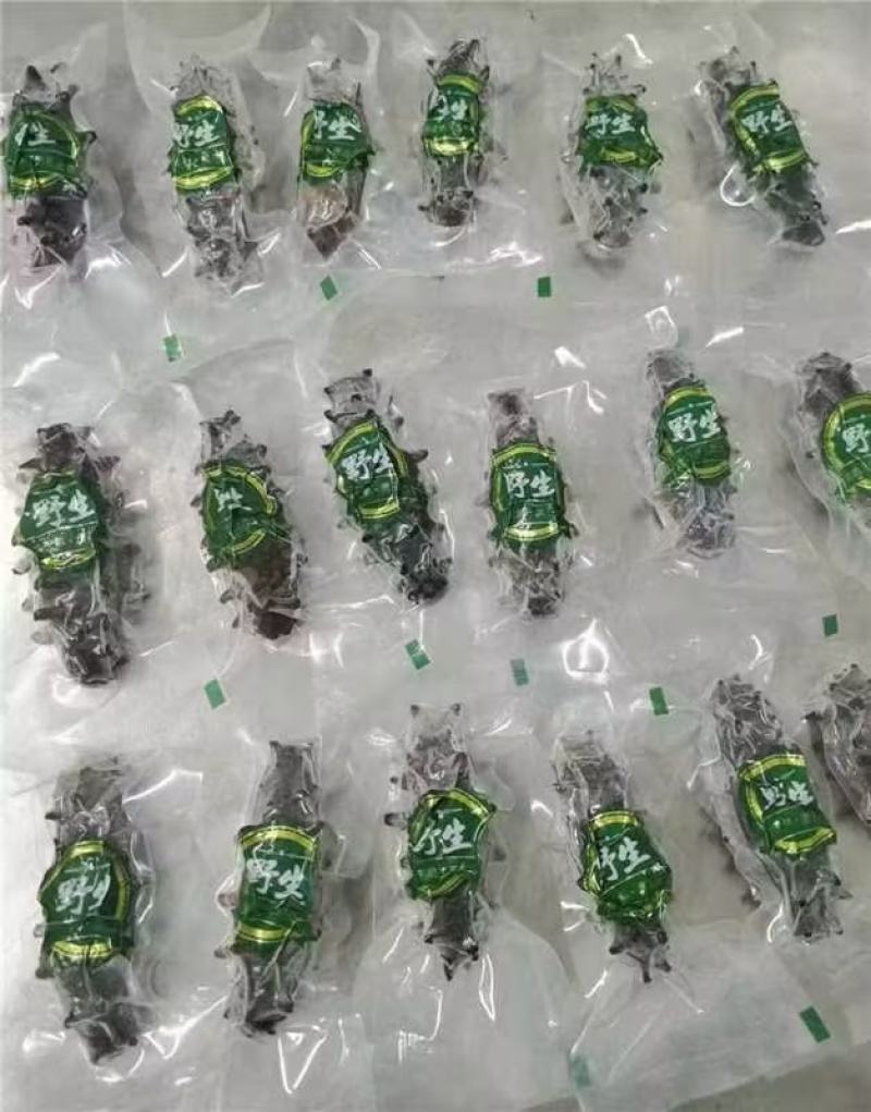 辽宁大连即食海参大量供应保质保量欢迎订购