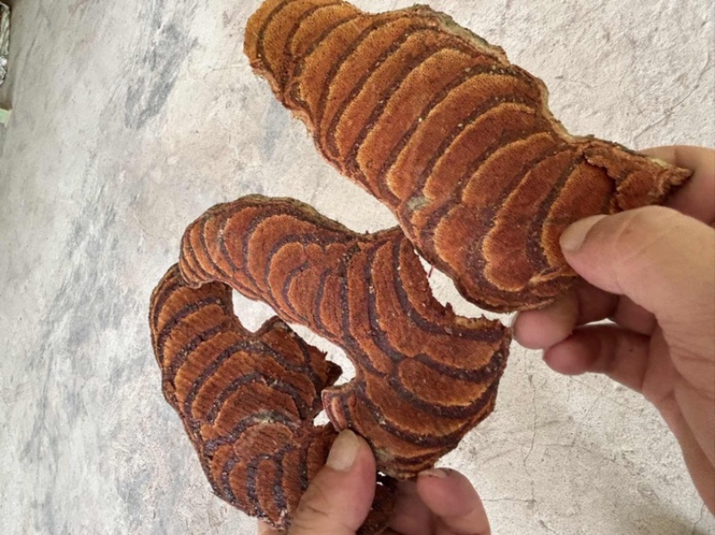 精品进口越南鸡血藤，货量充足，产地直发欢迎客商来电咨询