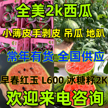 【常年供应】全美2k小吊瓜早春红玉西瓜冰糖籽西瓜