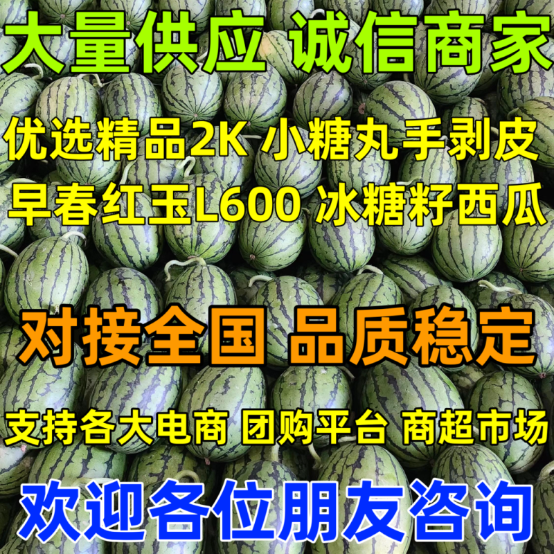 【常年供应】精品全美2k小糖丸手剥皮西瓜早春红玉