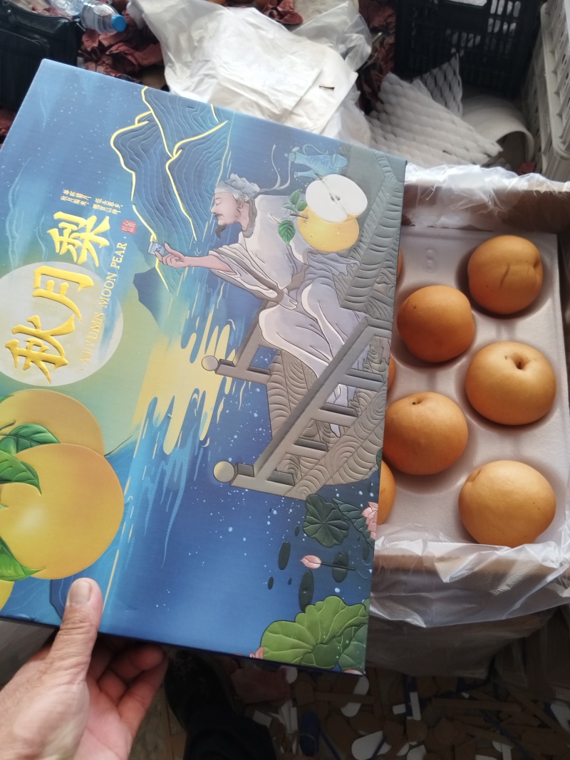 万亩精品秋月梨口感脆甜质量杠杠的实力代办全国代发