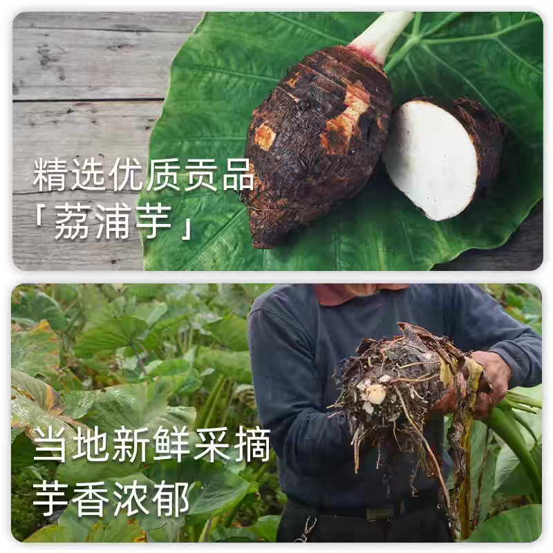 【热销】荔浦芋头/香芋/产地直发/大量价优/欢迎来电
