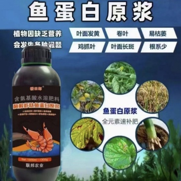 酶解虾肽鱼蛋白原浆