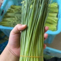 韭菜苔