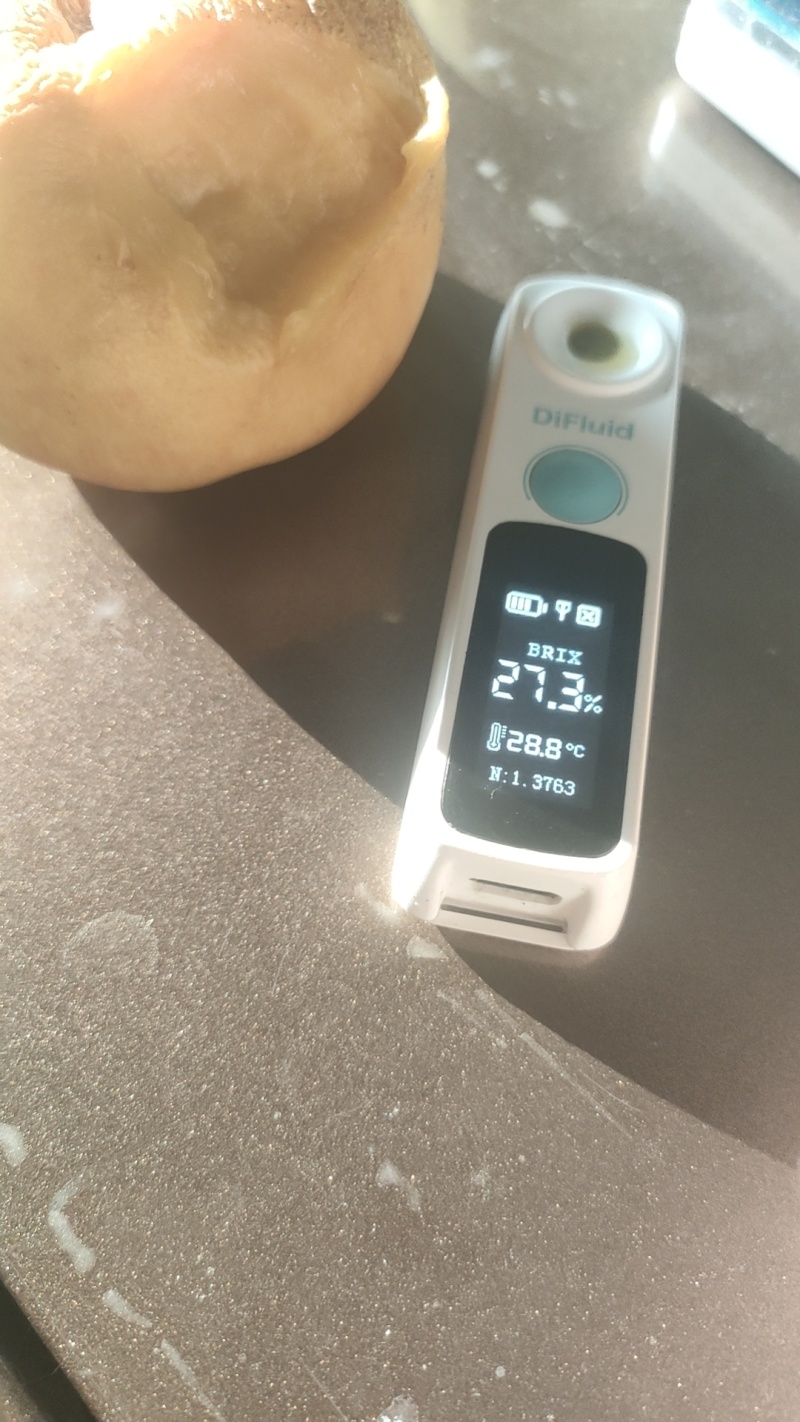 风味天后，晚油蟠。