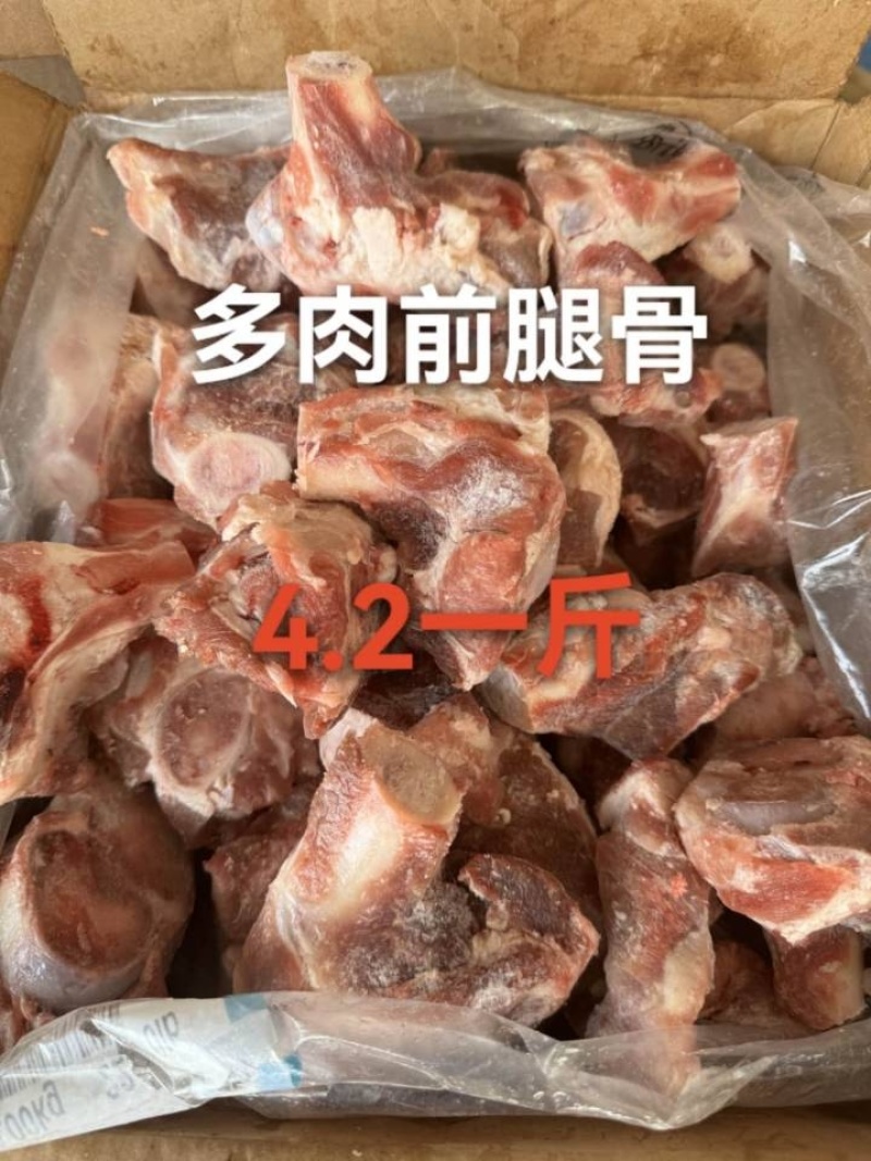 多肉前眼骨