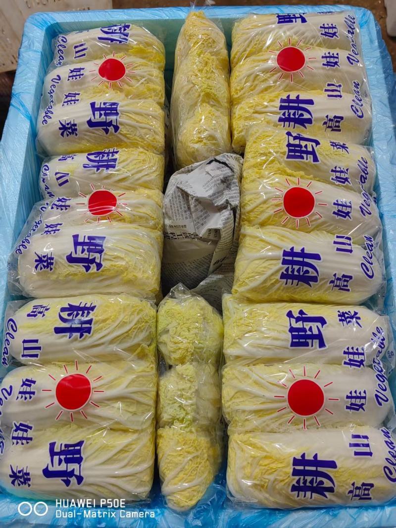 小娃娃菜