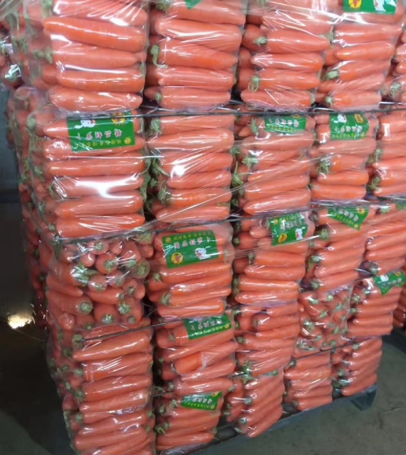 精品红萝卜，水洗中条，细条，电商，市场大量有货