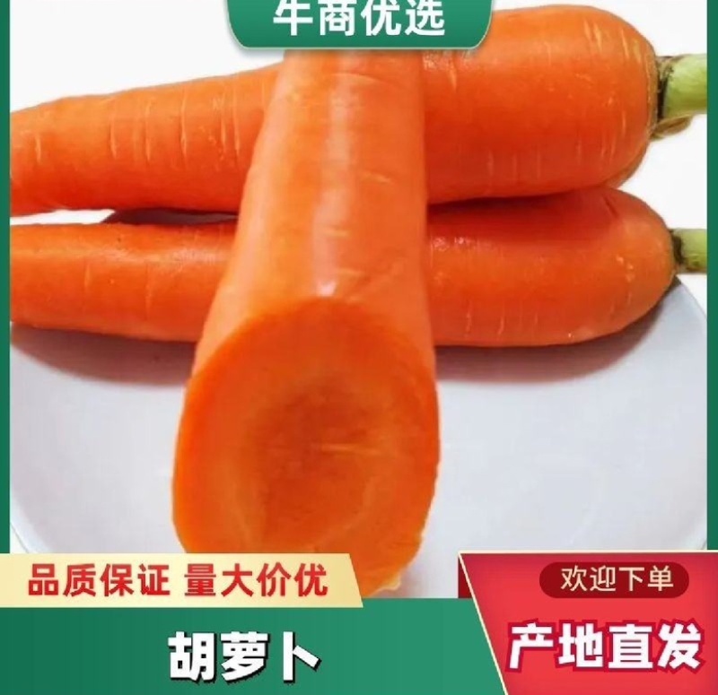 精品红萝卜，水洗中条，细条，电商，市场大量有货