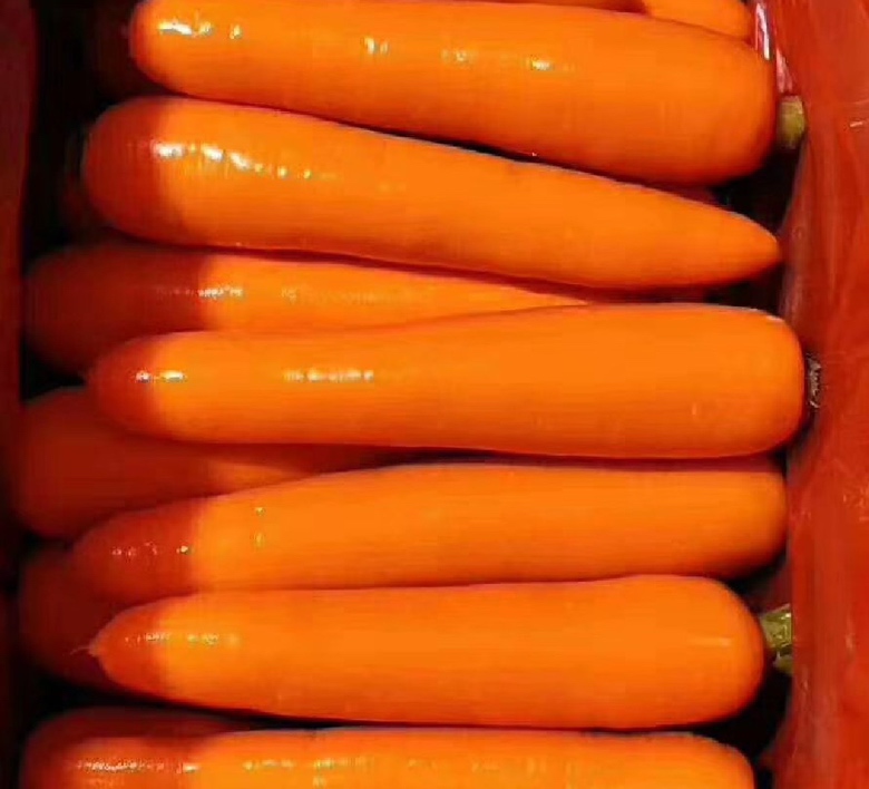 潍县青萝卜炖排骨