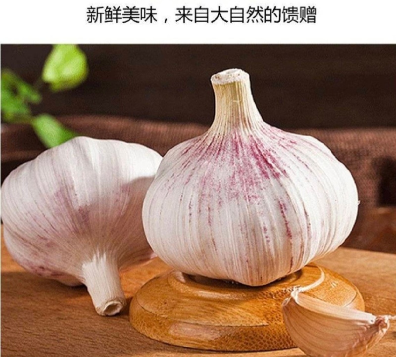 精品大蒜紫皮白皮红皮大蒜常年供应电商平台出口贸易