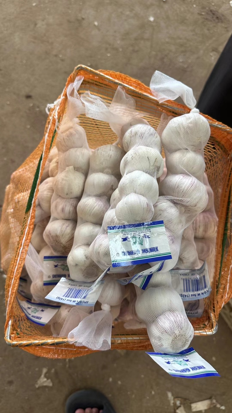 精品大蒜紫皮白皮红皮大蒜常年供应电商平台出口贸易