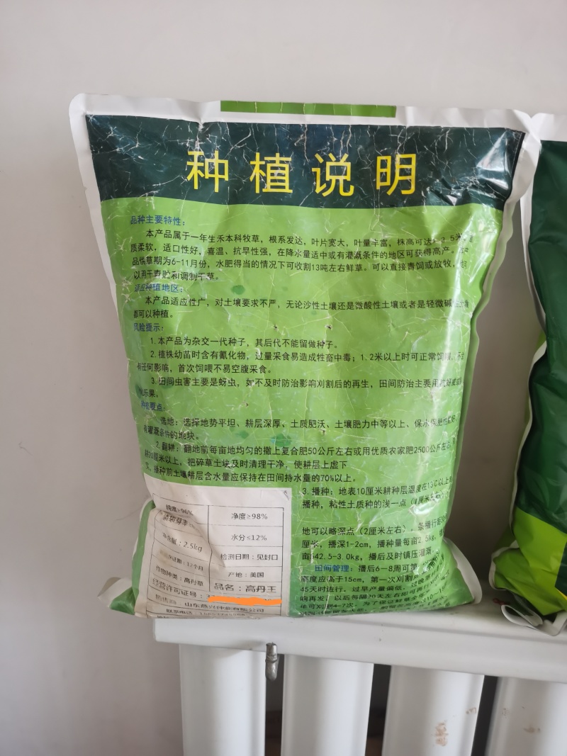 高产牧草高丹王，牛羊驴马都爱吃的高产牧草种子
