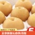 正宗秋月梨，香甜可口，清脆无渣。