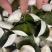 江门三花青皮