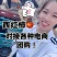 N电商西红柿/山东西红柿/社团拼多多/河马/淘菜菜/