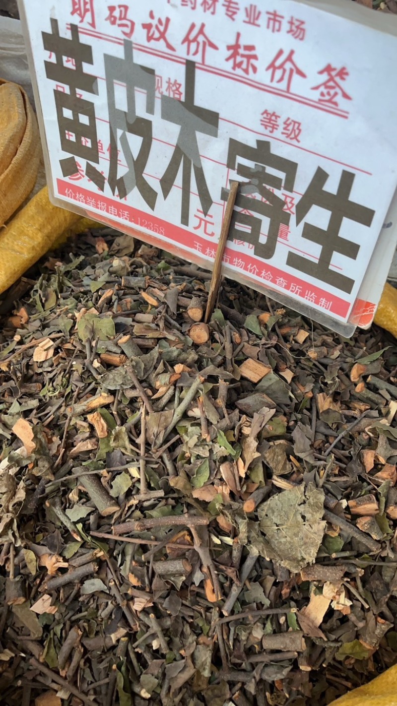 黄皮木寄生黄皮寄生