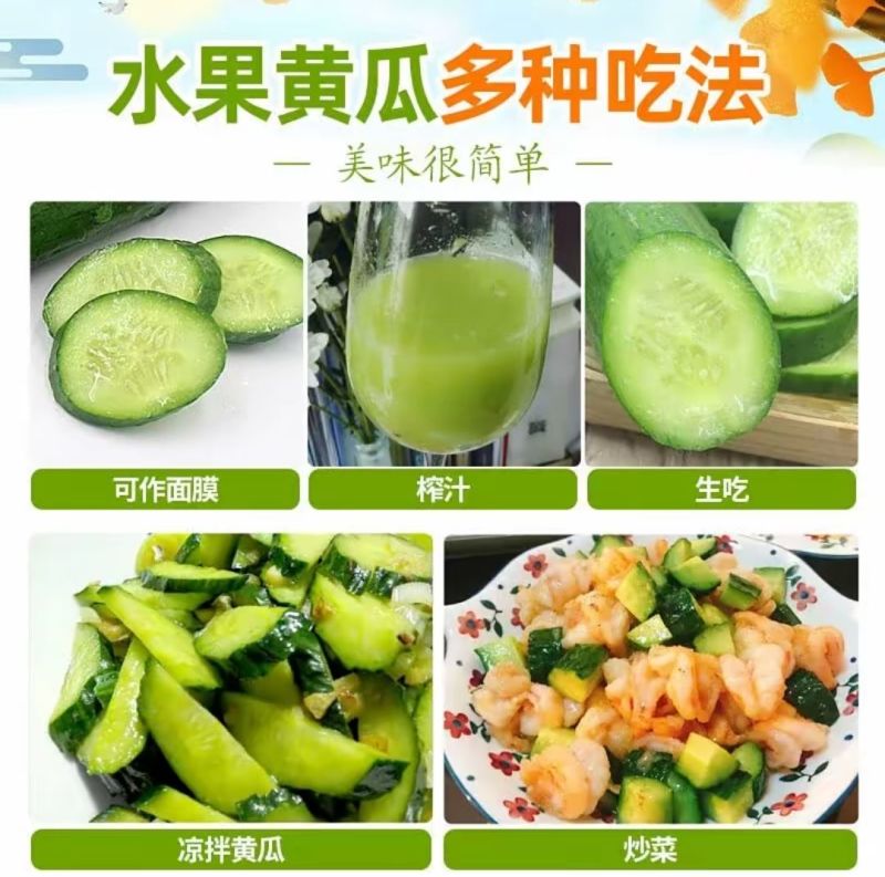 精品水果黄瓜