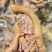 【熟牛蹄筋】去骨熟牛蹄带主筋全熟卤煮好产品