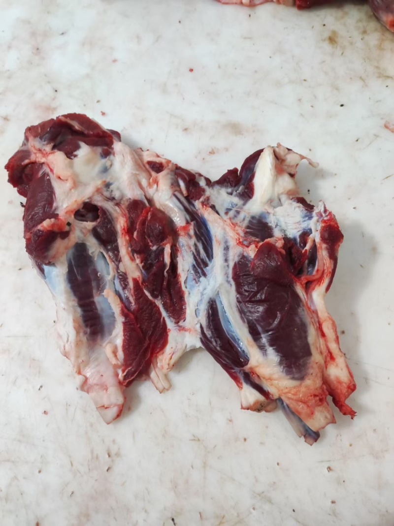 牛腱子牛副产品滨州牛肉常年供货价格便宜代发全国市场