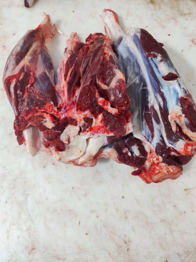 牛腱子牛副产品滨州牛肉常年供货价格便宜代发全国市场