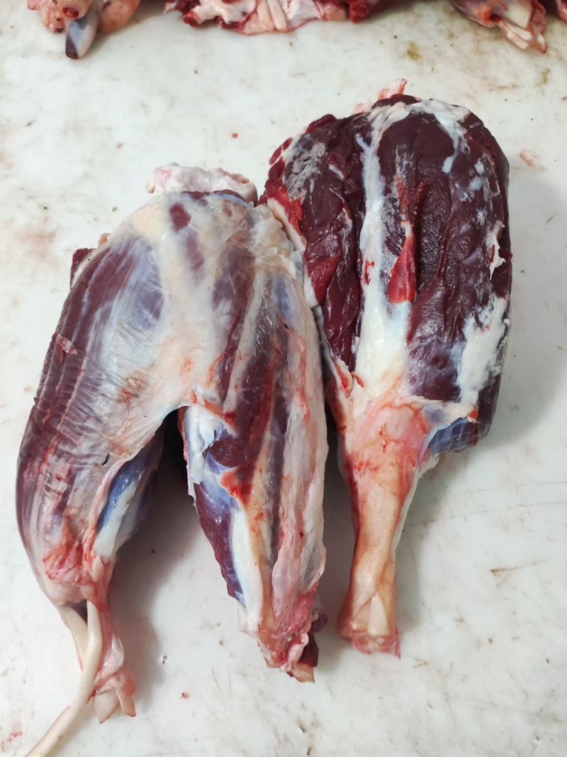 牛腱子牛副产品滨州牛肉常年供货价格便宜代发全国市场
