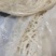 【热销】江苏徐州鲜面条加工厂现压现送量大从优