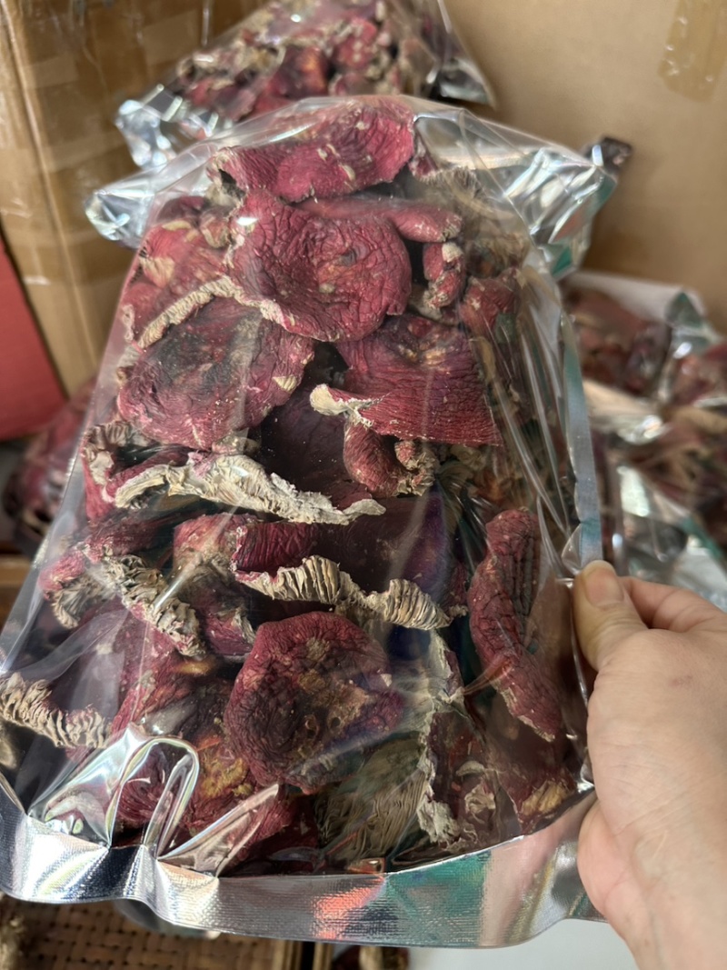 红菇开菇
