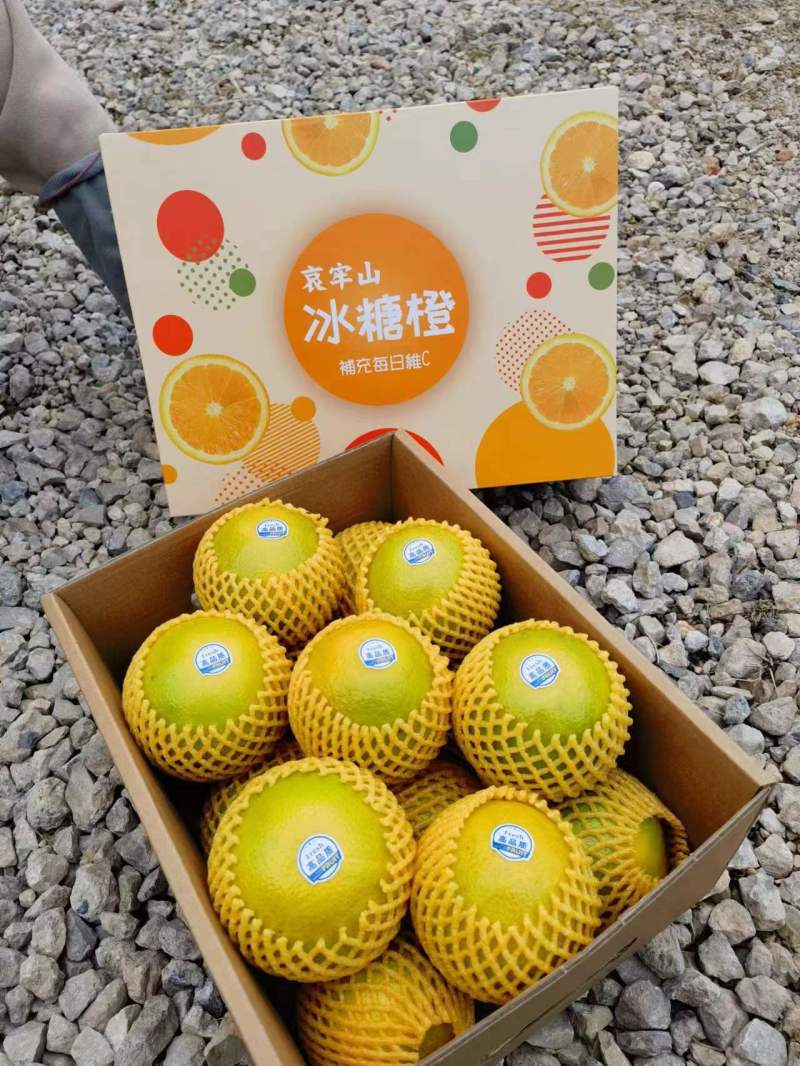 （一件代发）哀牢山冰糖橙3/5/9斤现货供应团购平