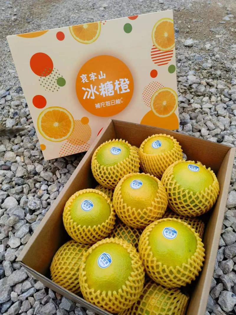 （一件代发）哀牢山冰糖橙3/5/9斤现货供应团购平
