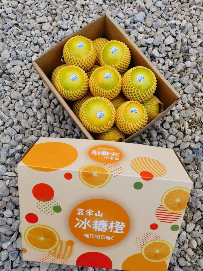 （一件代发）哀牢山冰糖橙3/5/9斤现货供应团购平