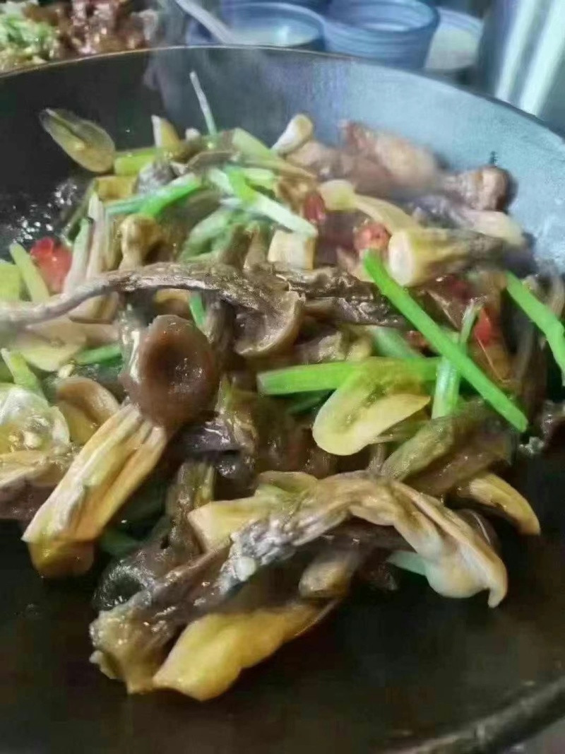 鹿茸菇