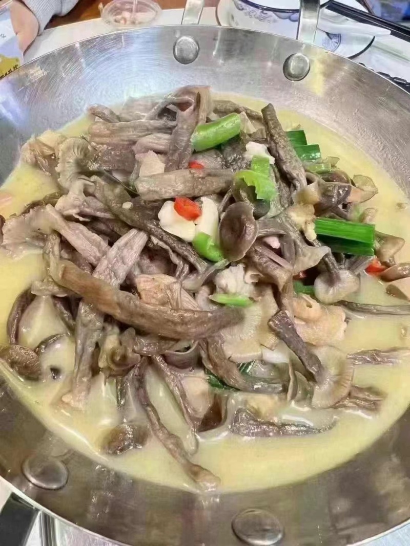 鹿茸菇